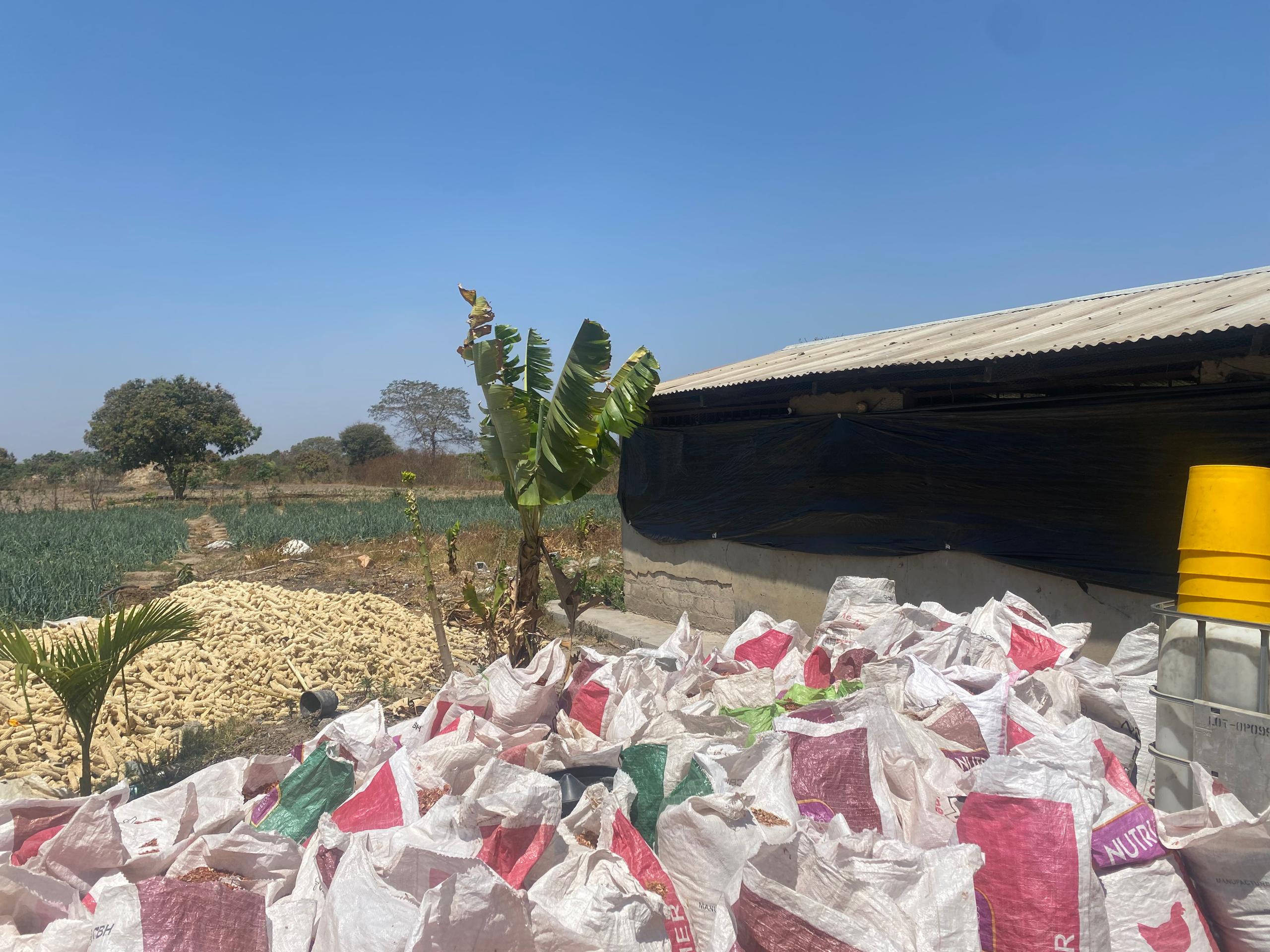 Organic Poultry Manure